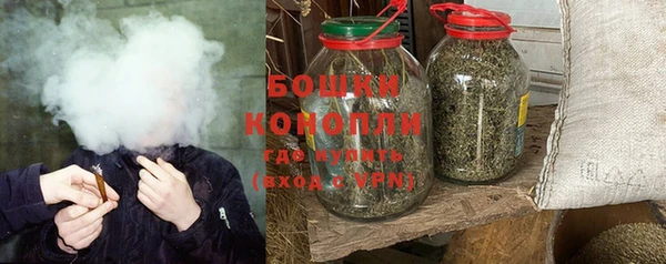СК Осинники