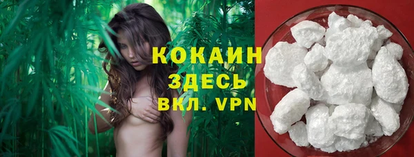 твердый Осташков